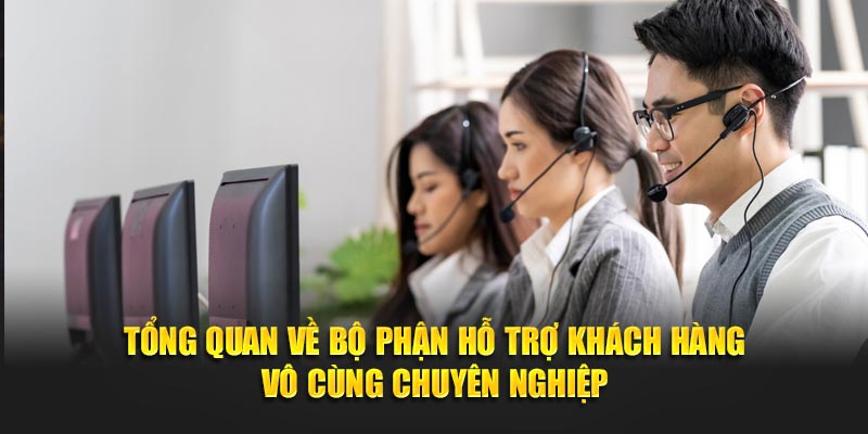 Tổng quan về bộ phận hỗ trợ khách hàng vô cùng chuyên nghiệp